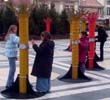 Tubulophone